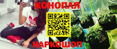 дурь Уссурийск